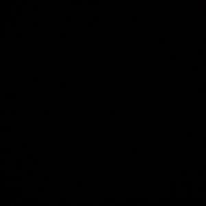 Meet your Posher, Barry